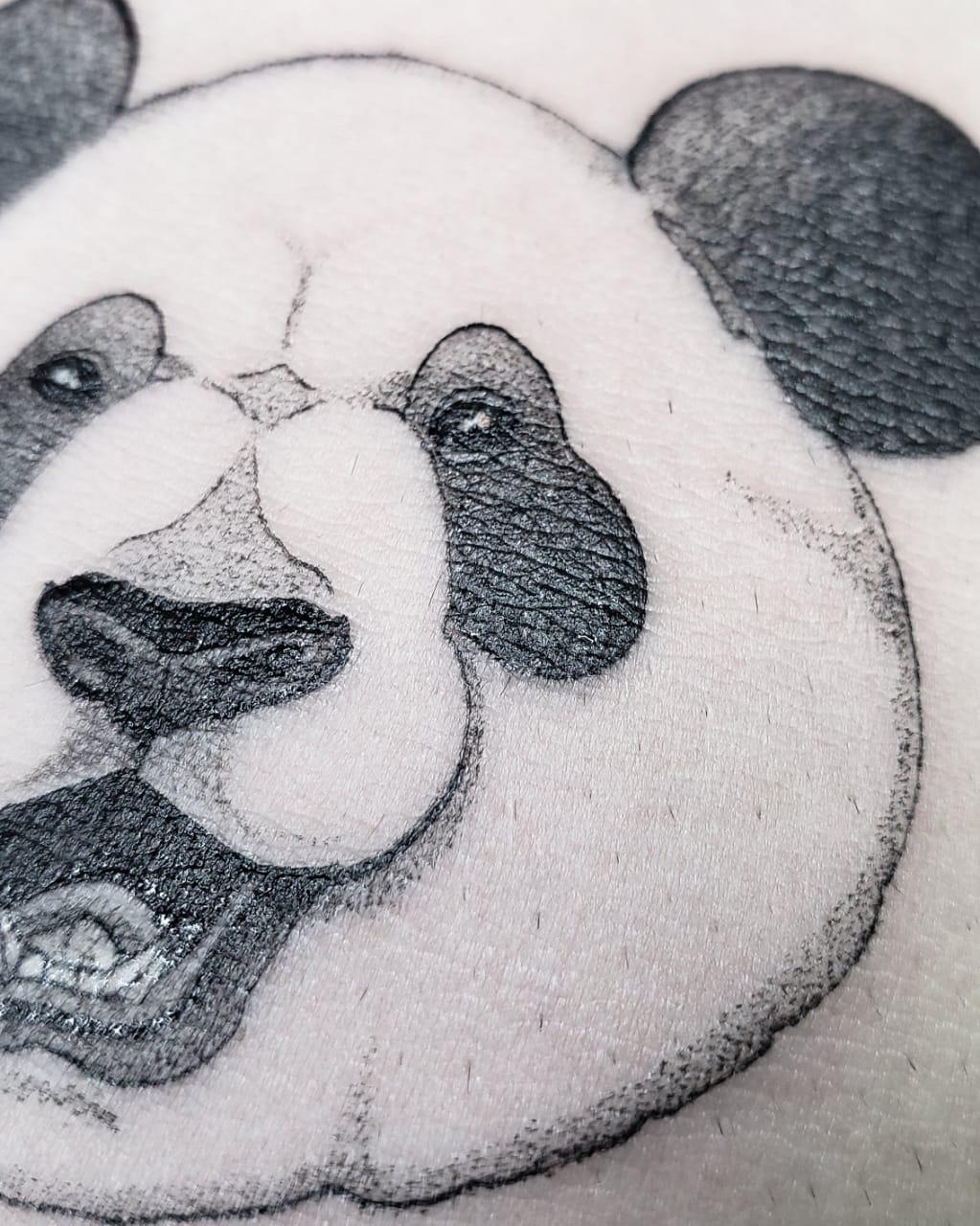 56 ideias de Panda Kawaii :3  pandas, panda desenho, panda fofo